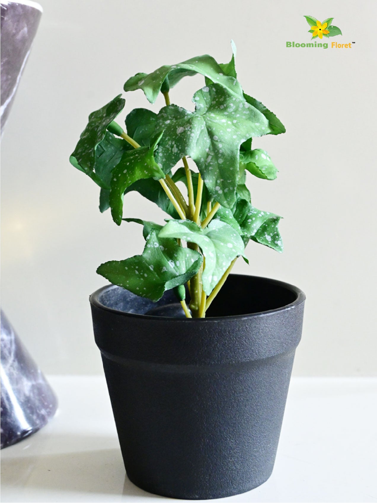 Ivy Succulent - Dark Green and White Dots Leaves (Patterned)