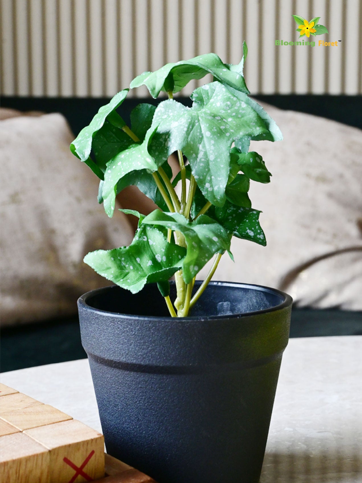 Ivy Succulent - Dark Green and White Dots Leaves (Patterned)