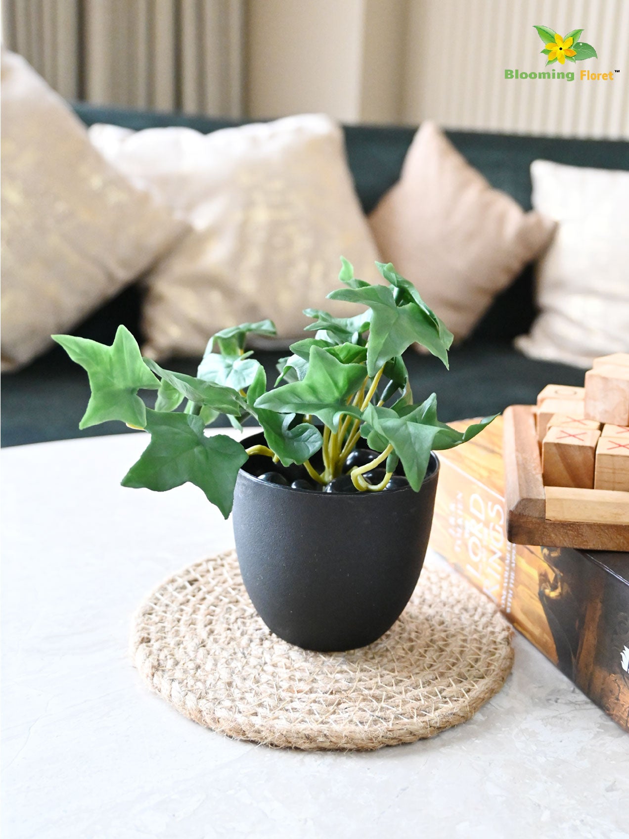 Ivy Succulent - Dark Green