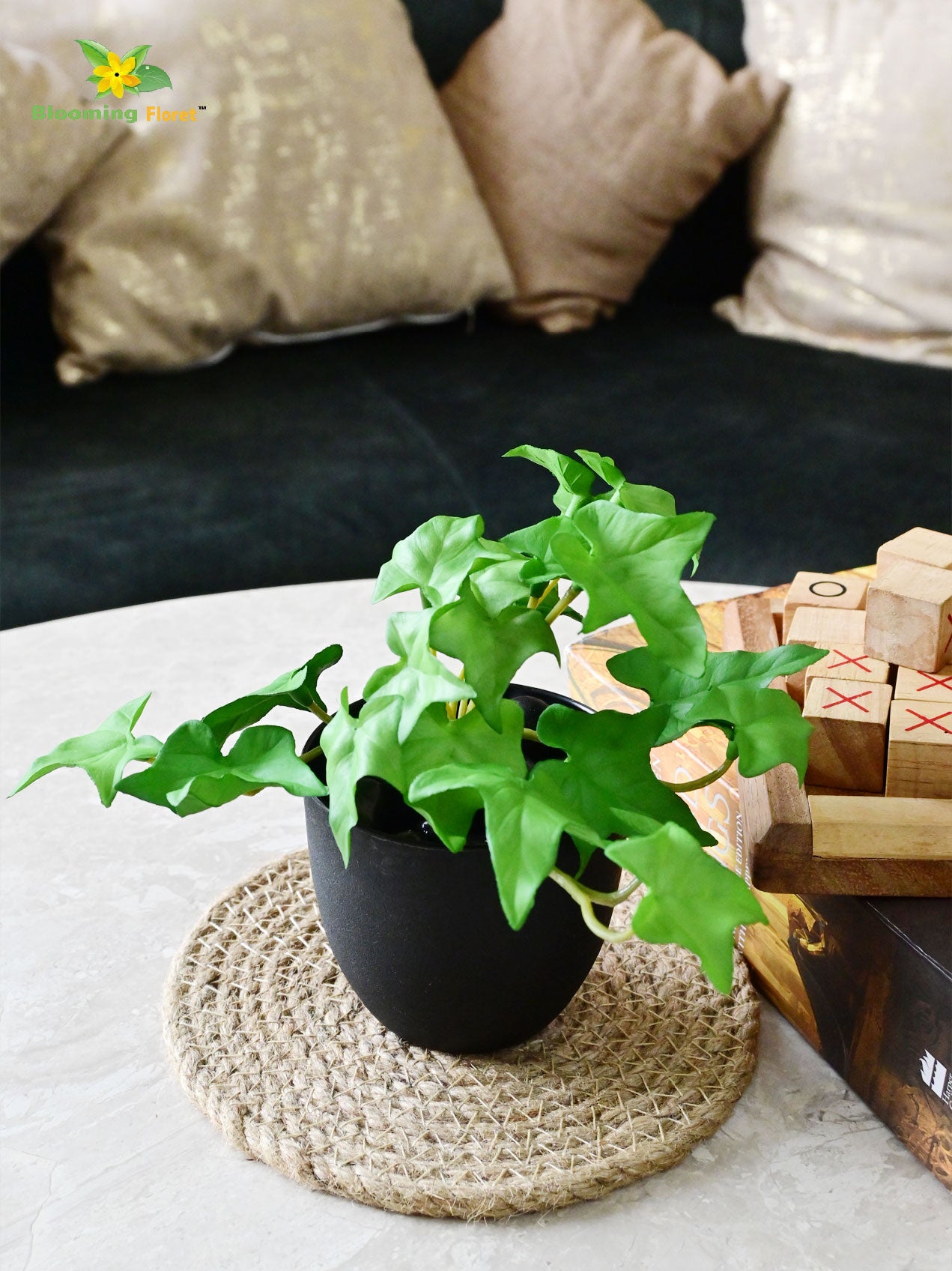 Ivy Succulent - Green (Small)