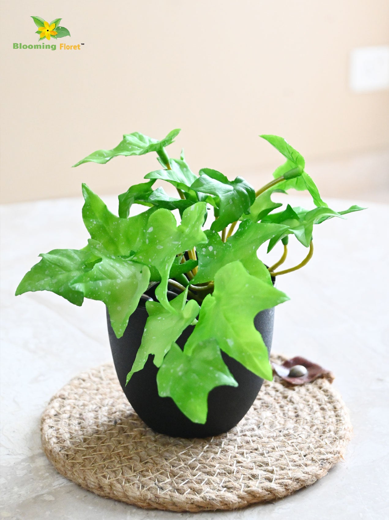 Ivy Succulent - Light Green