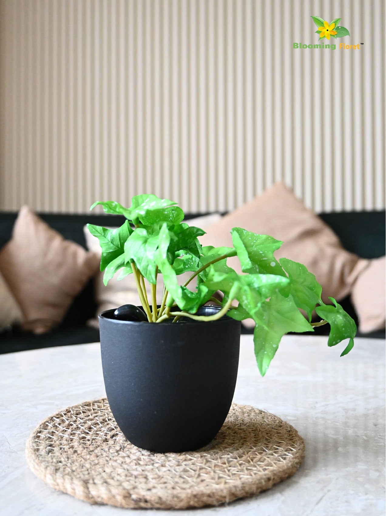 Ivy Succulent - Light Green