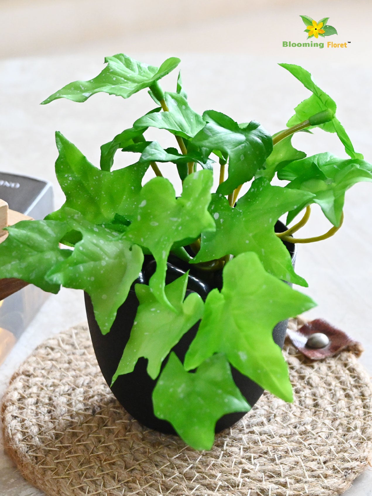 Ivy Succulent - Light Green