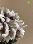 Luxe Artificial Peony Stick - Grey, Green