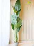 Artificial Banana Leaf Plant – 220 cm, with Basic Pot