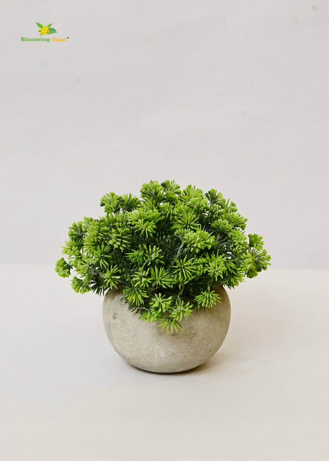 Blooming Floret Small Succulent Planter – Effortless Greenery for Any Space