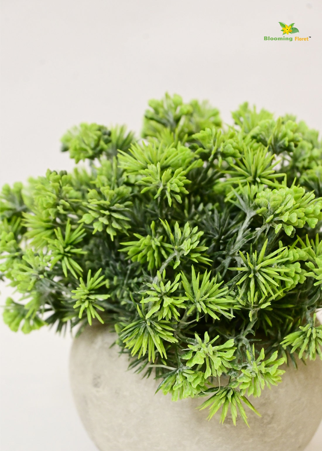 Blooming Floret Small Succulent Planter – Effortless Greenery for Any Space