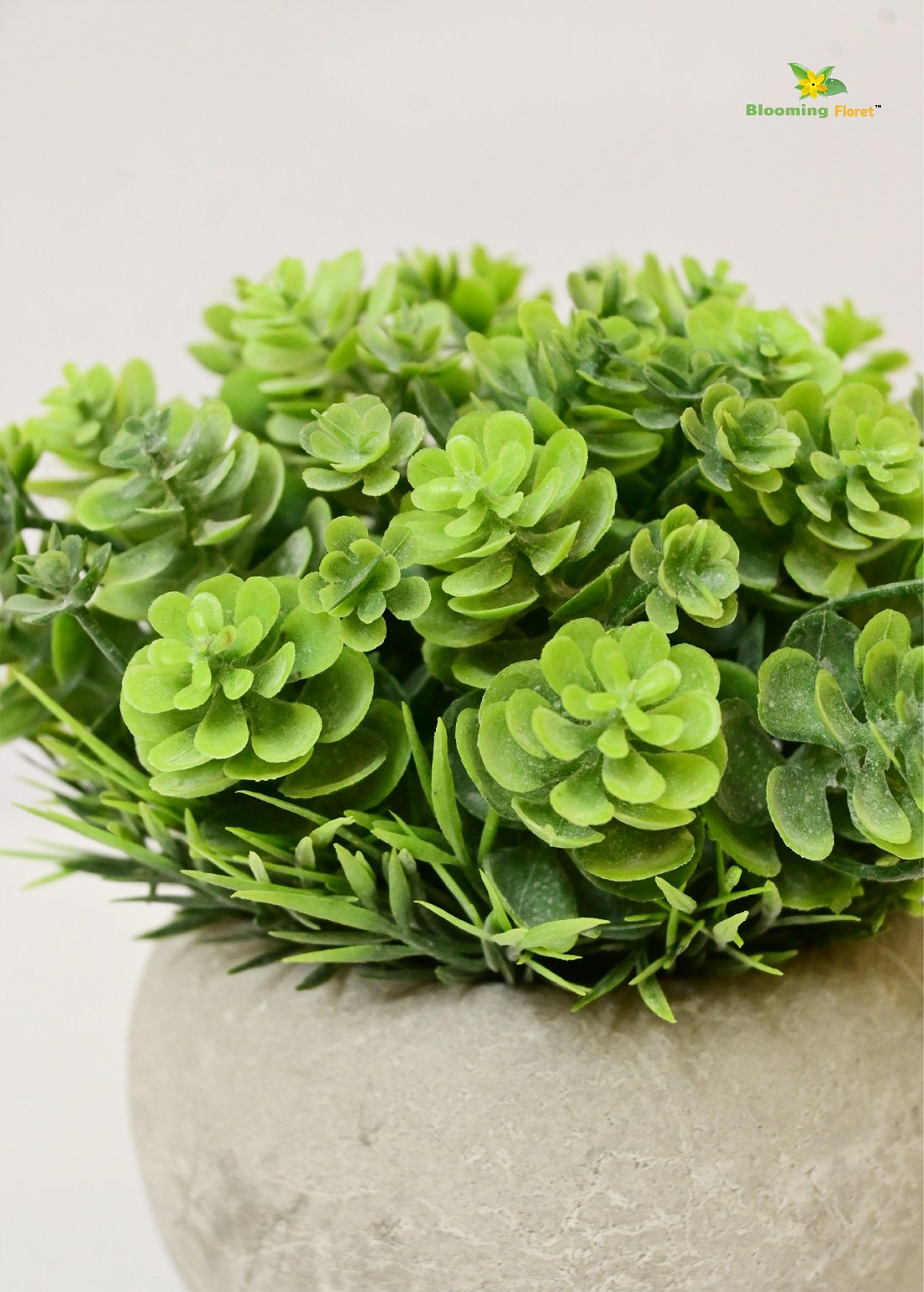 Blooming Floret Small Succulent Planter – Effortless Greenery for Any Space