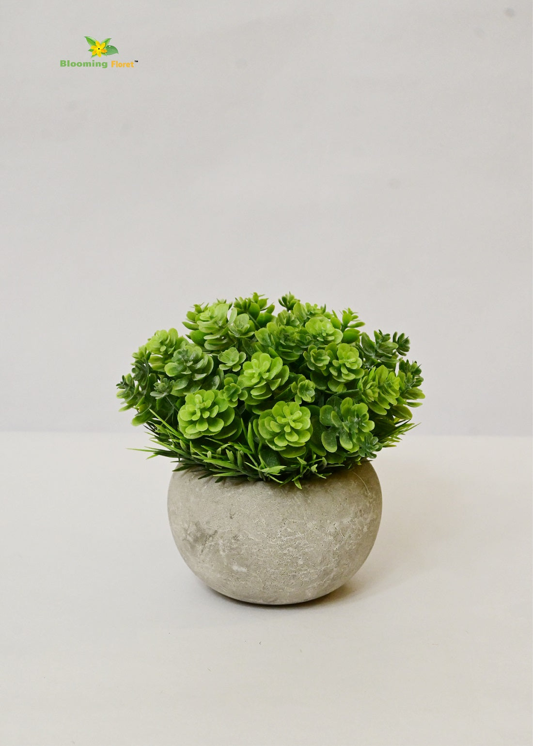 Blooming Floret Small Succulent Planter – Effortless Greenery for Any Space