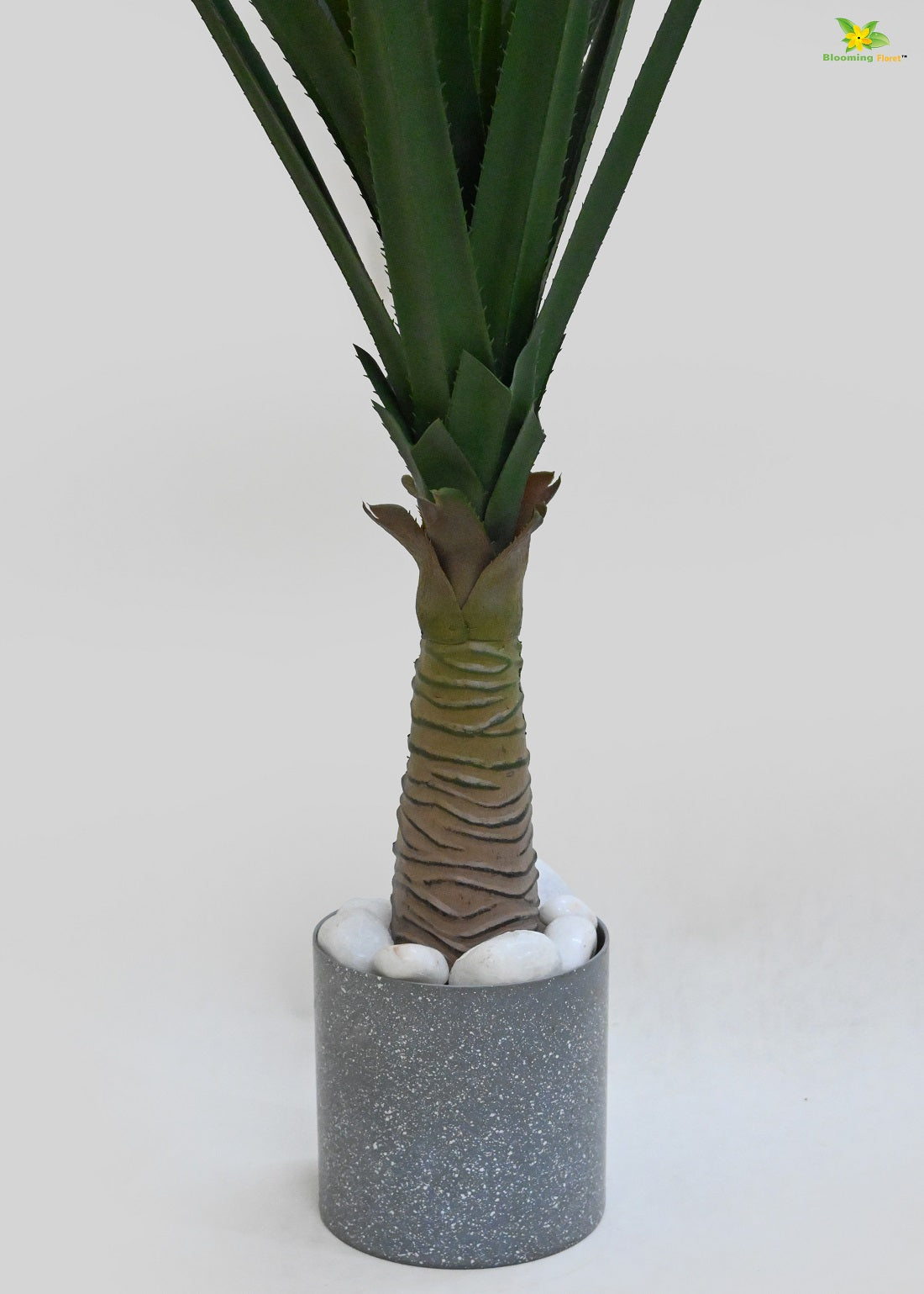 Artificial Dracaena Plant