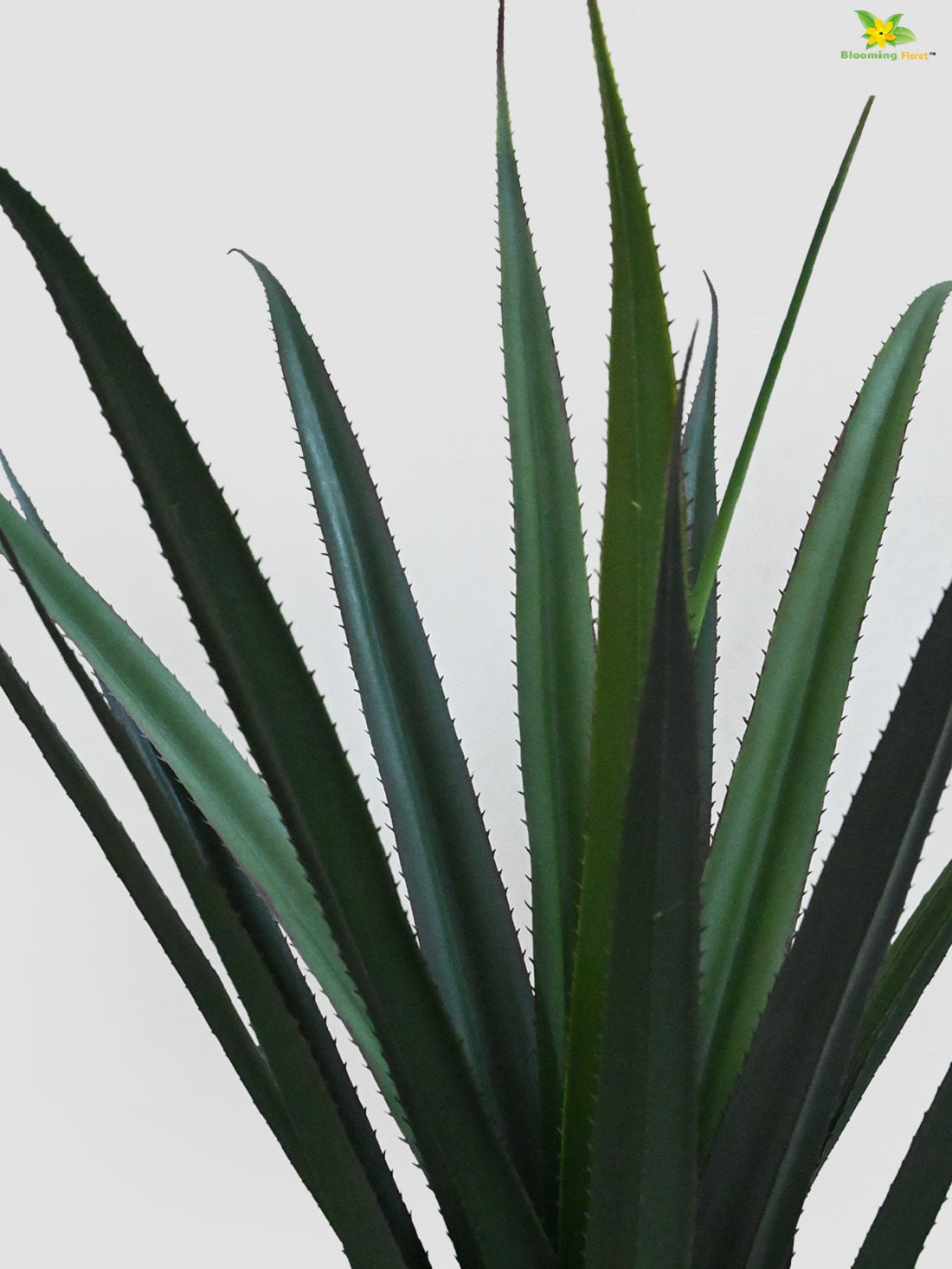 Artificial Dracaena Plant