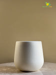 Textured Cream Planter Set – Set of Two