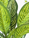 Artificial Ivory White Croton Plant – 71.1 cm, 26 Leaves, with Pot