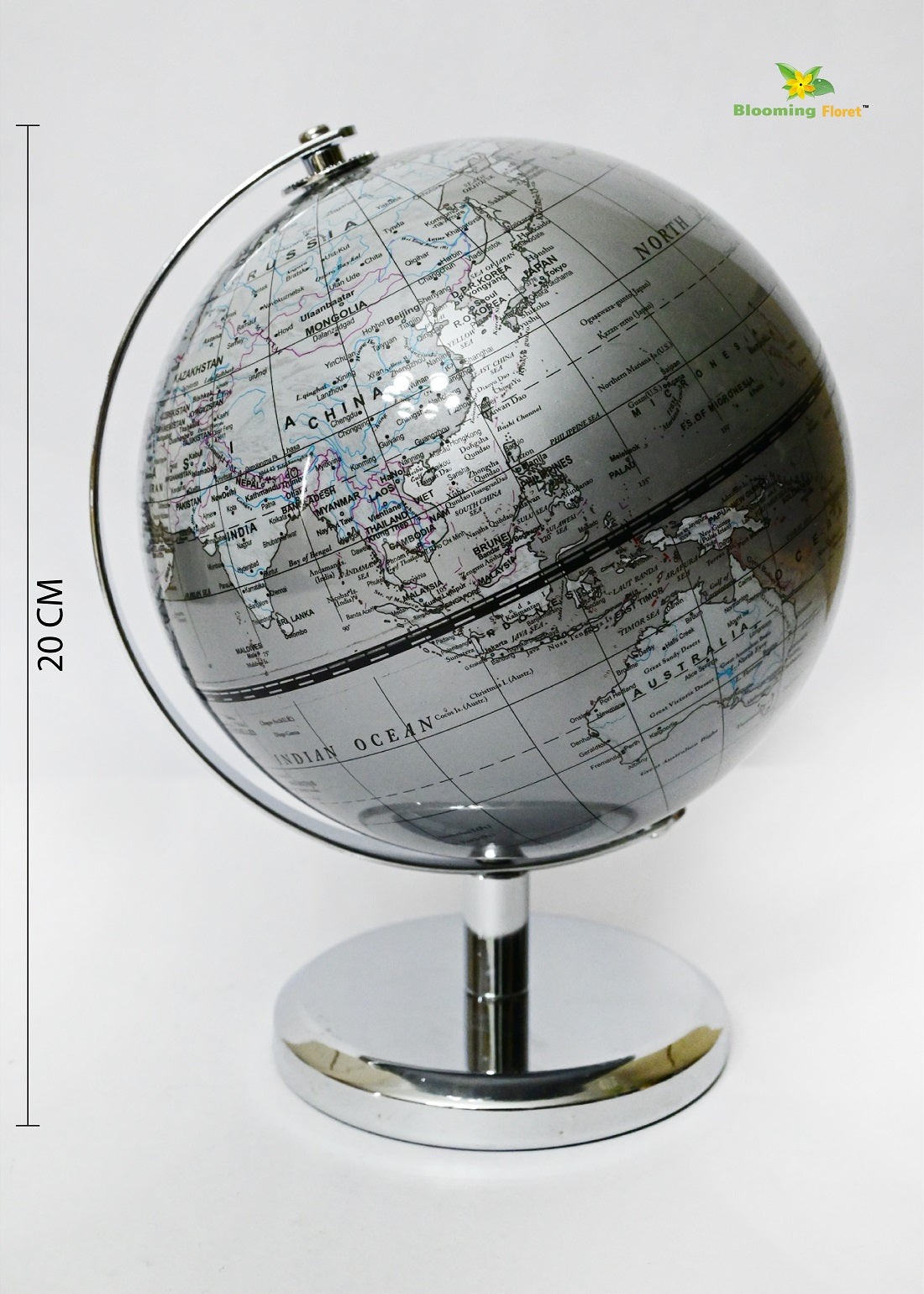 Silver Globe | Plain Silver Stand | 22 cm