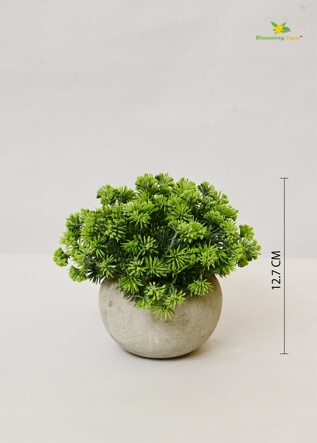 Blooming Floret Small Succulent Planter – Effortless Greenery for Any Space