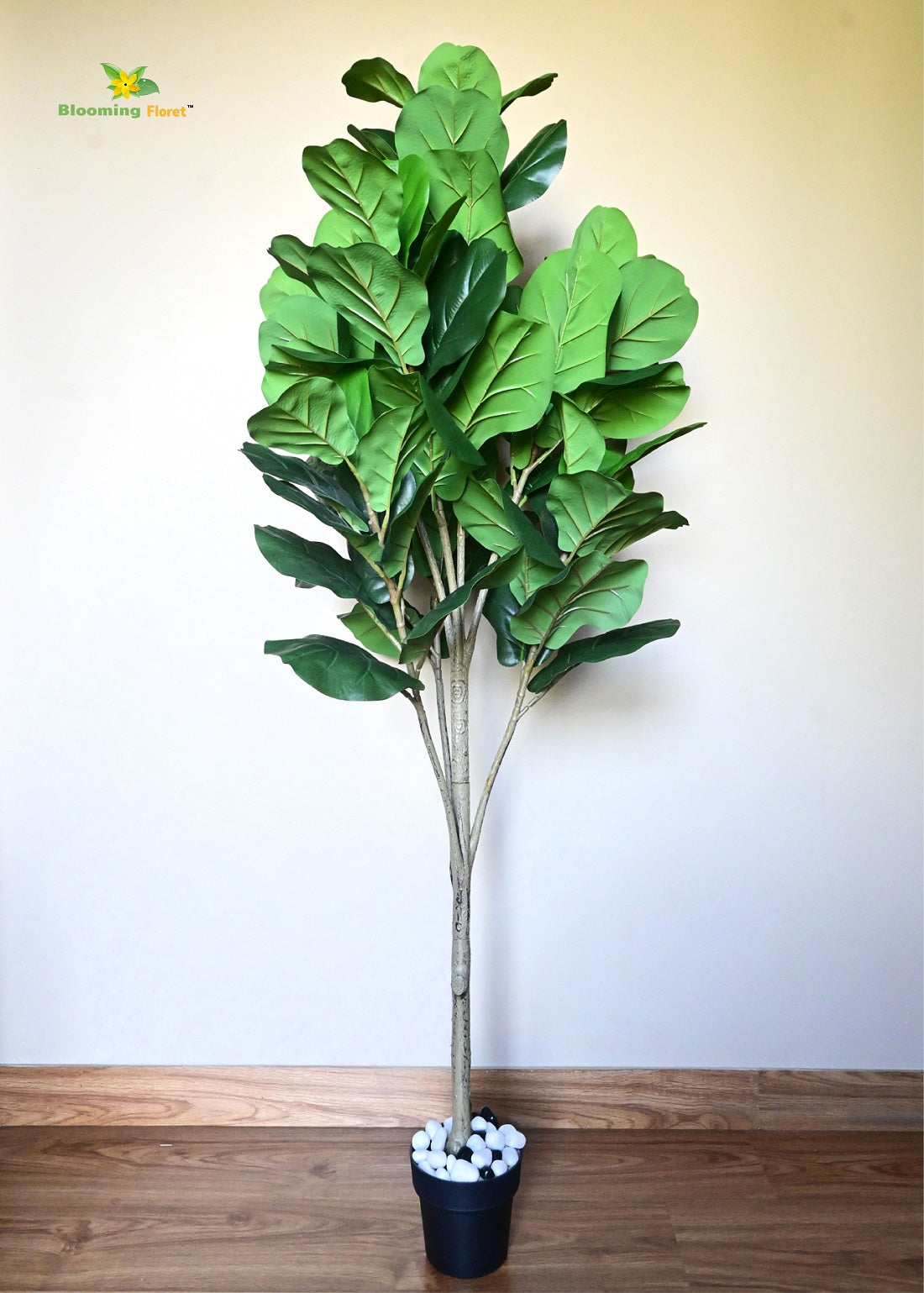 Blooming Floret Artificial Fig Plant! 170 cm Tall Faux Tree for Home & Office Décor