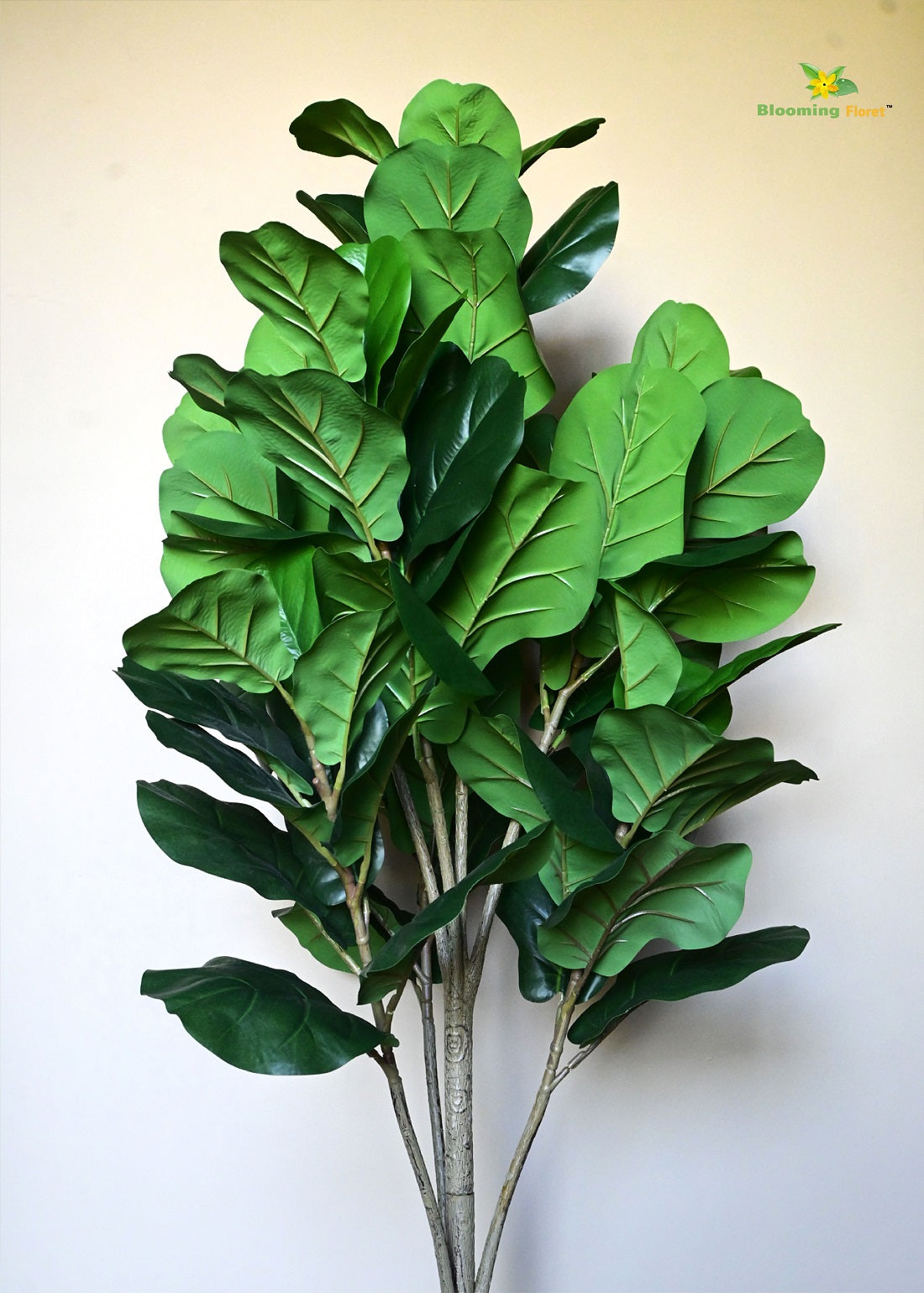 Blooming Floret Artificial Fig Plant! 170 cm Tall Faux Tree for Home & Office Décor