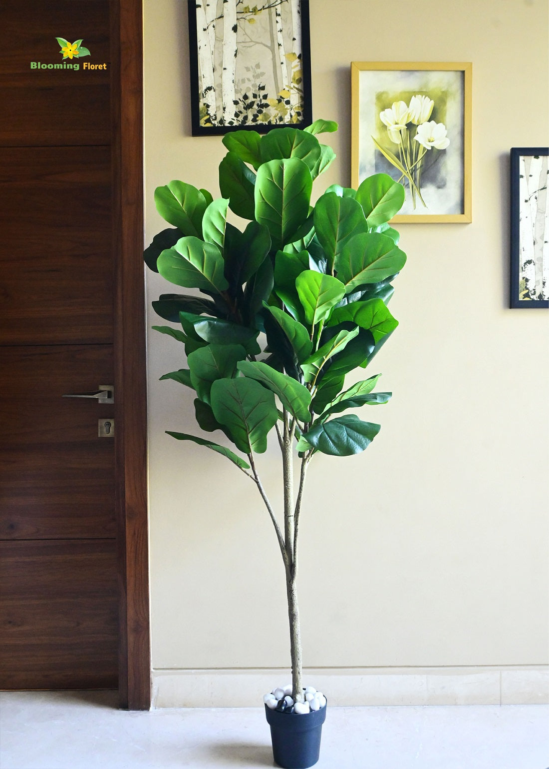 Blooming Floret Artificial Fig Plant! 170 cm Tall Faux Tree for Home & Office Décor