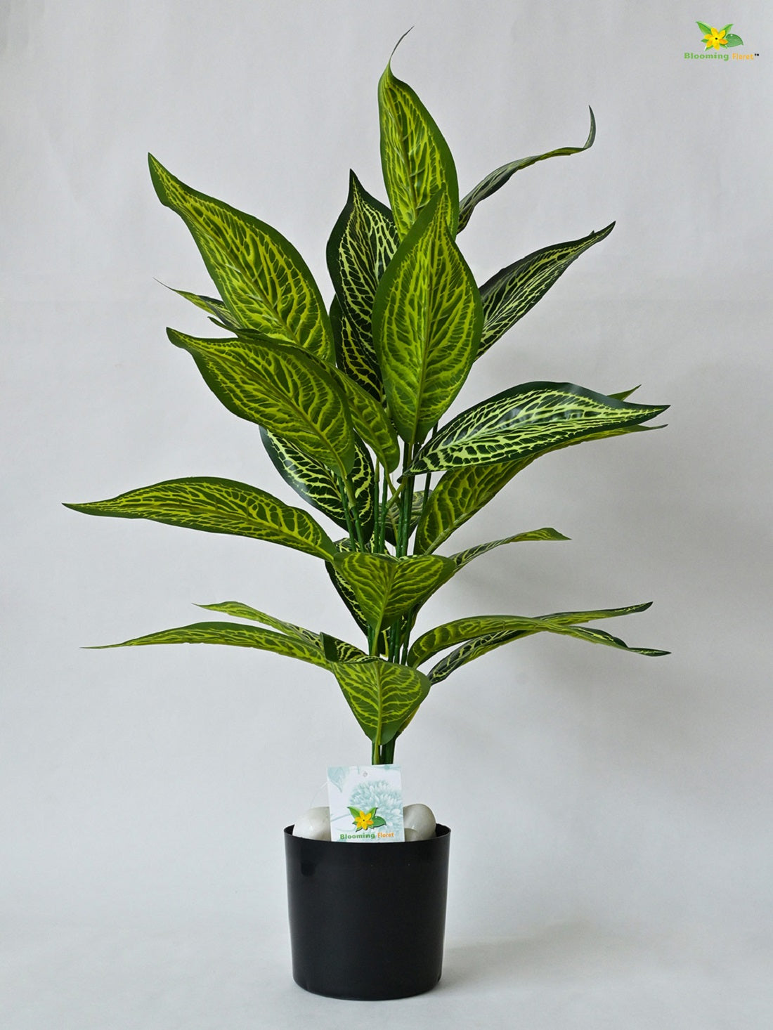 Artificial  Ivory White Croton Plant having 26 Leaves with Pot | 71.1 cm Tall Plant