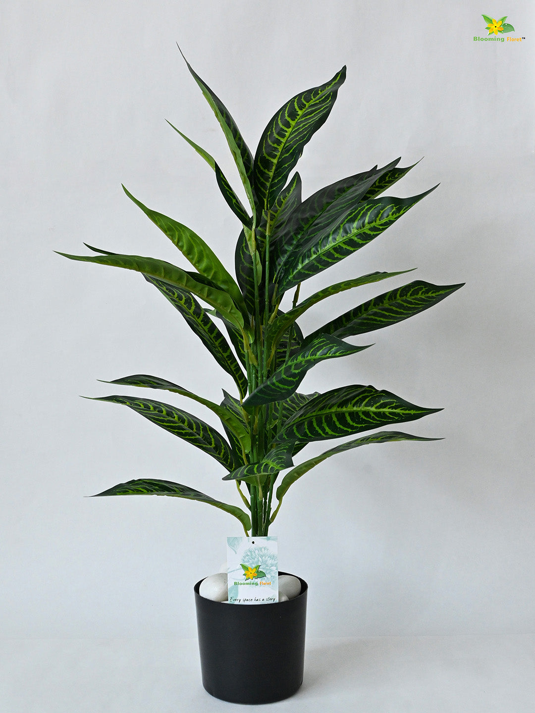 Artificial Green Iceton Croton Plant For Decor having 26 Leaves with Pot | 71.1 cm Tall Plant