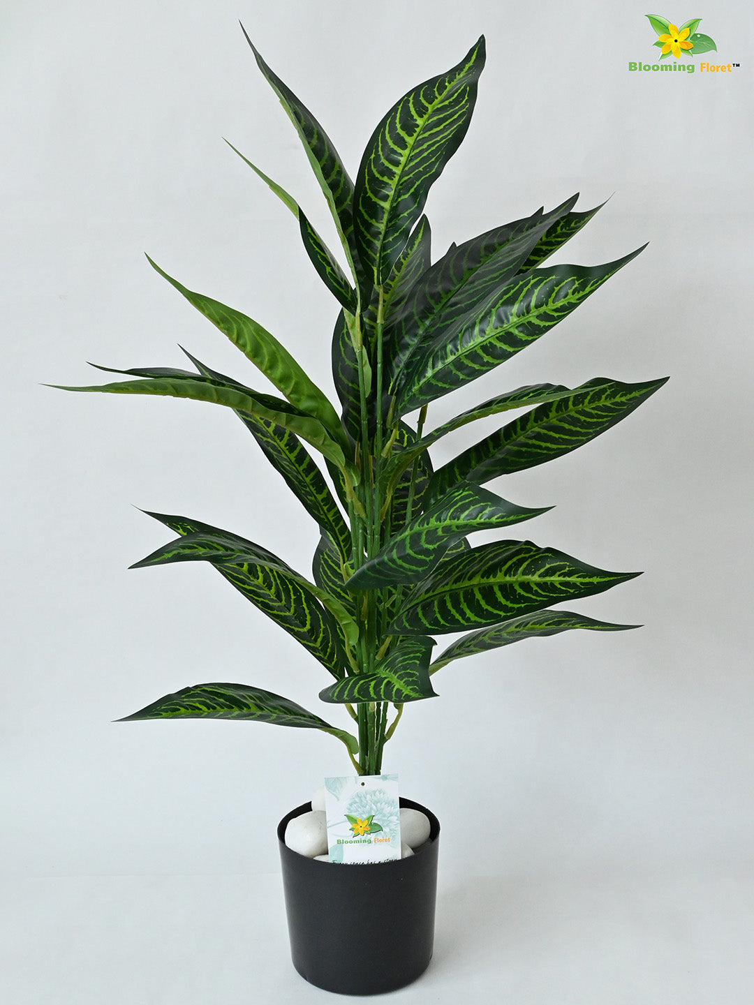 Artificial Green Iceton Croton Plant For Decor having 26 Leaves with Pot | 71.1 cm Tall Plant