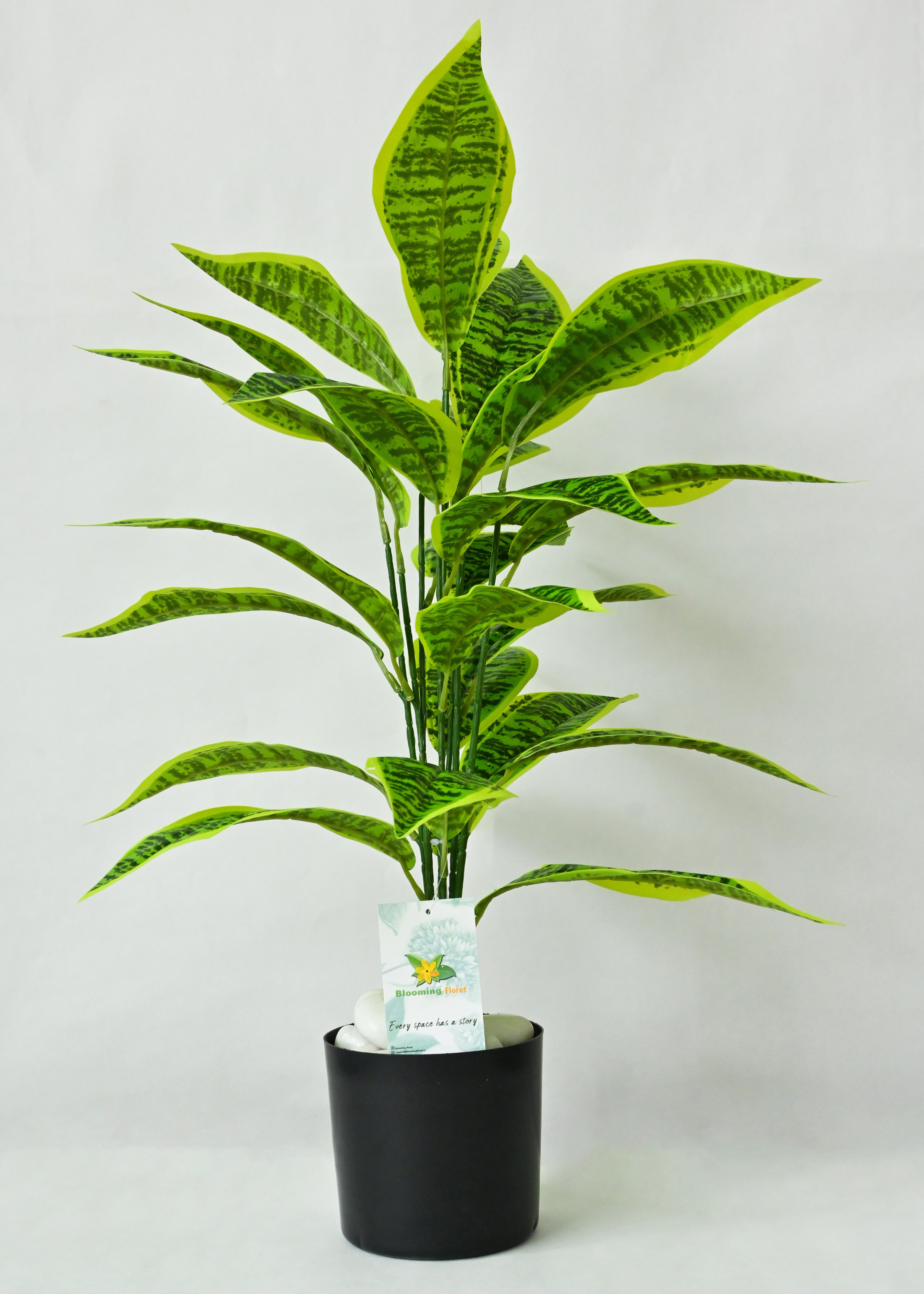 Artificial Snake Plant For Decor having 26 Leaves with Pot | 71.1 cm Tall