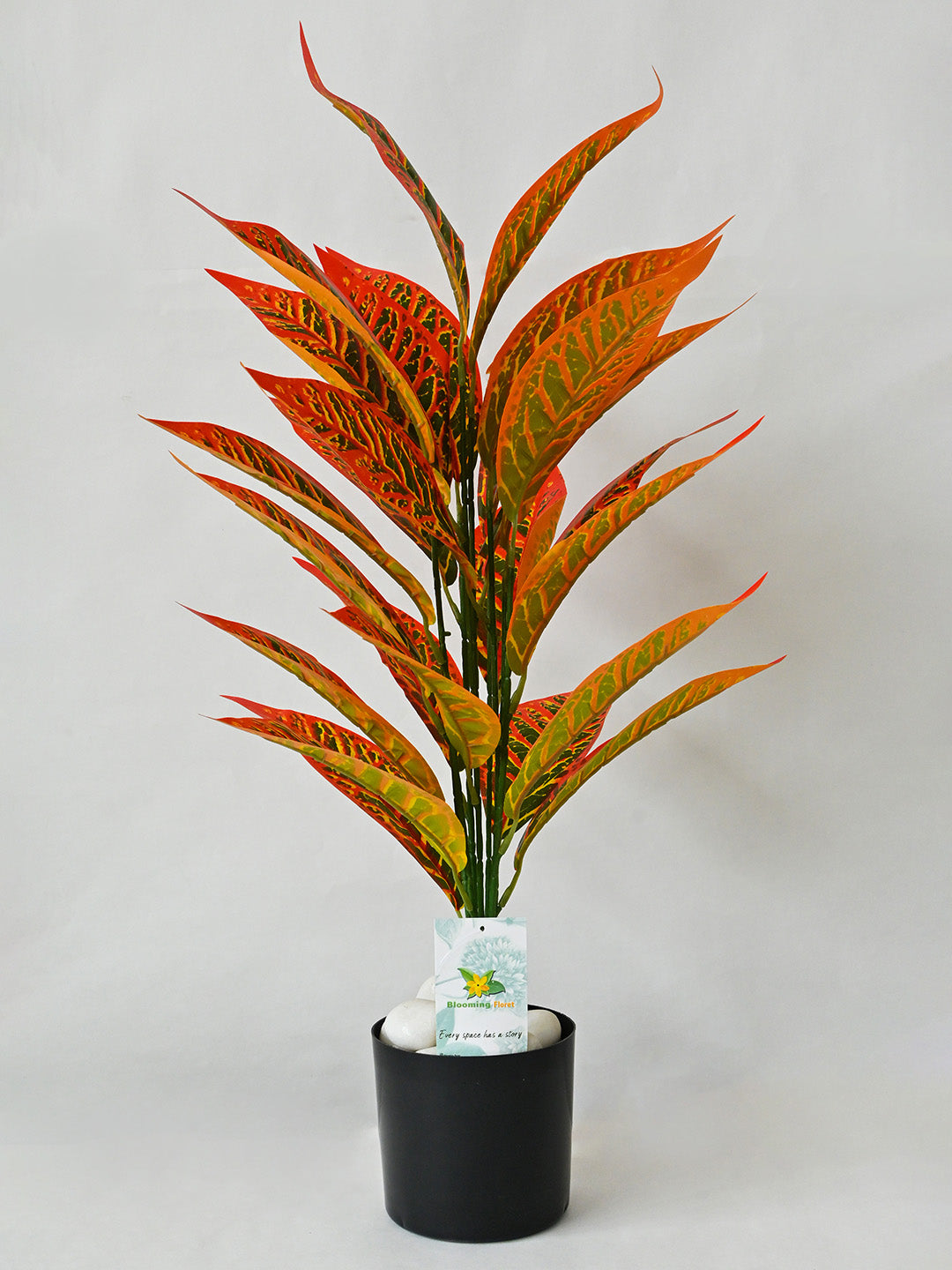 Artificial Red Iceton Croton Plant For Decor having 26 Leaves with Pot | 71.1 cm Tall Plant