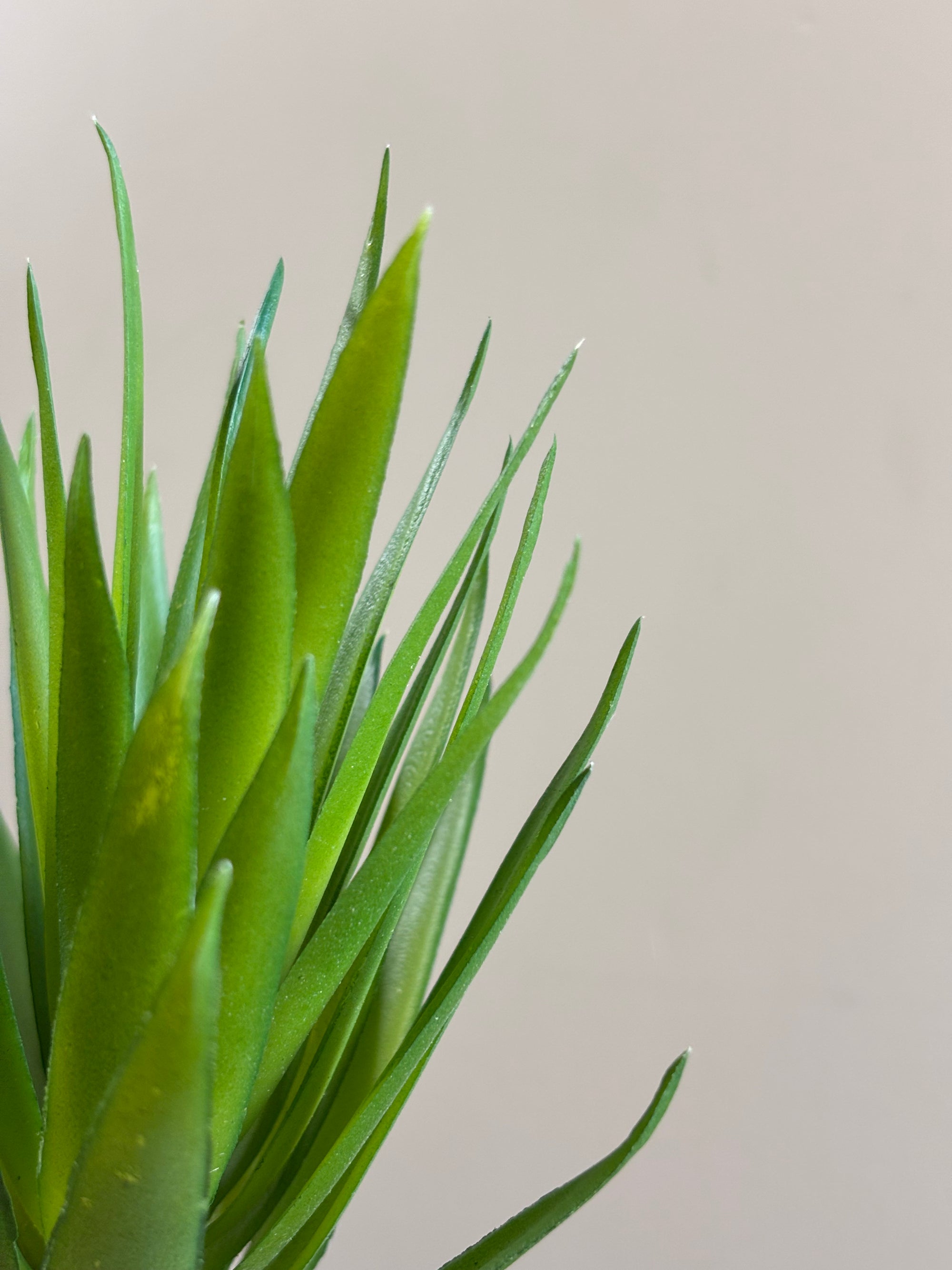 Artificial Pointed Succulent | 16 cm | Green