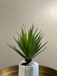 Artificial Pointed Succulent | 16 cm | Green