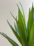 Artificial Pointed Succulent | 16 cm | Dark Green