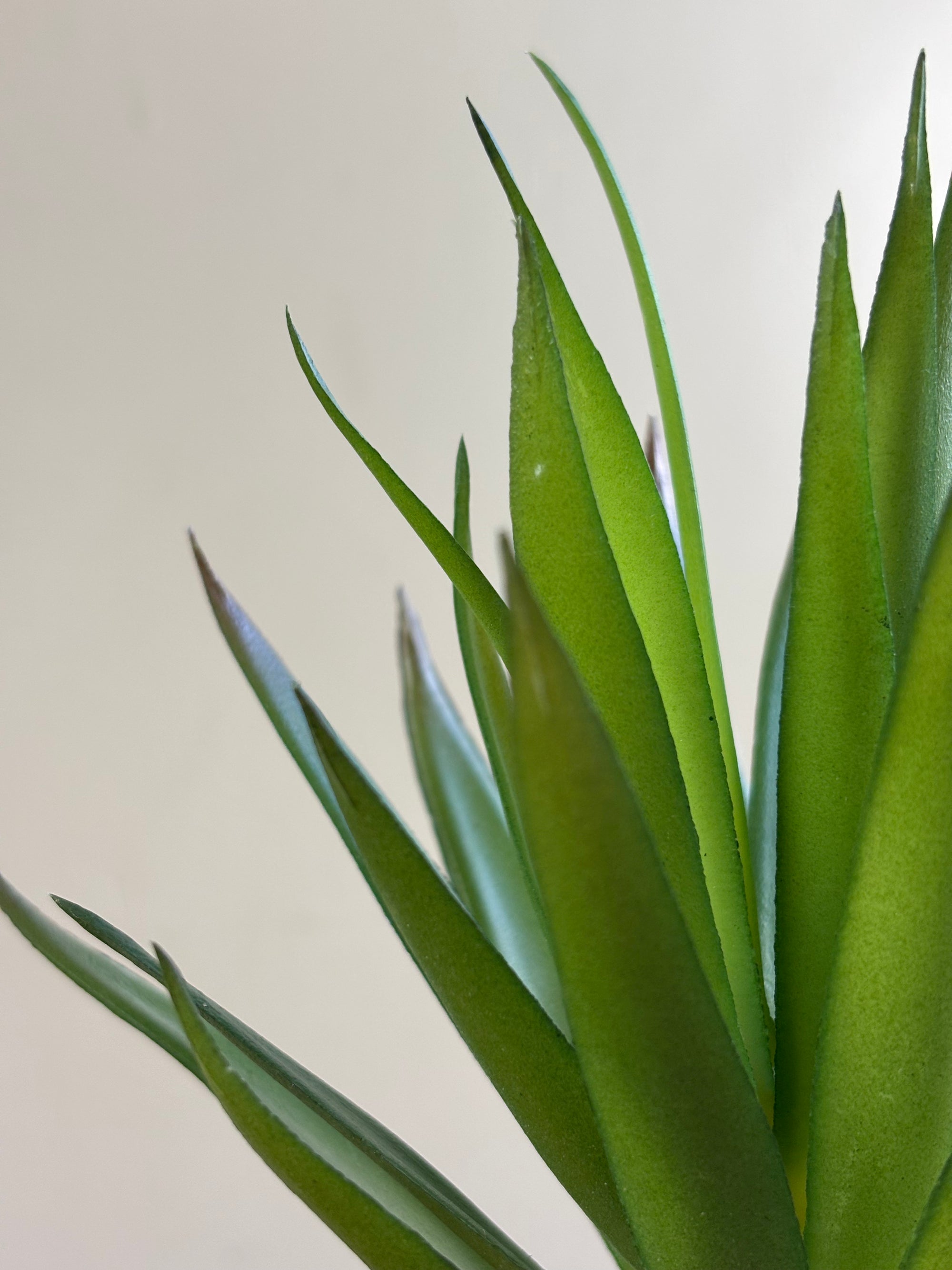 Artificial Pointed Succulent | 16 cm | Dark Green