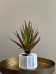 Artificial Pointed Succulent | 16 cm | Red Green Mix