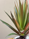 Artificial Pointed Succulent | 16 cm | Red Green Mix
