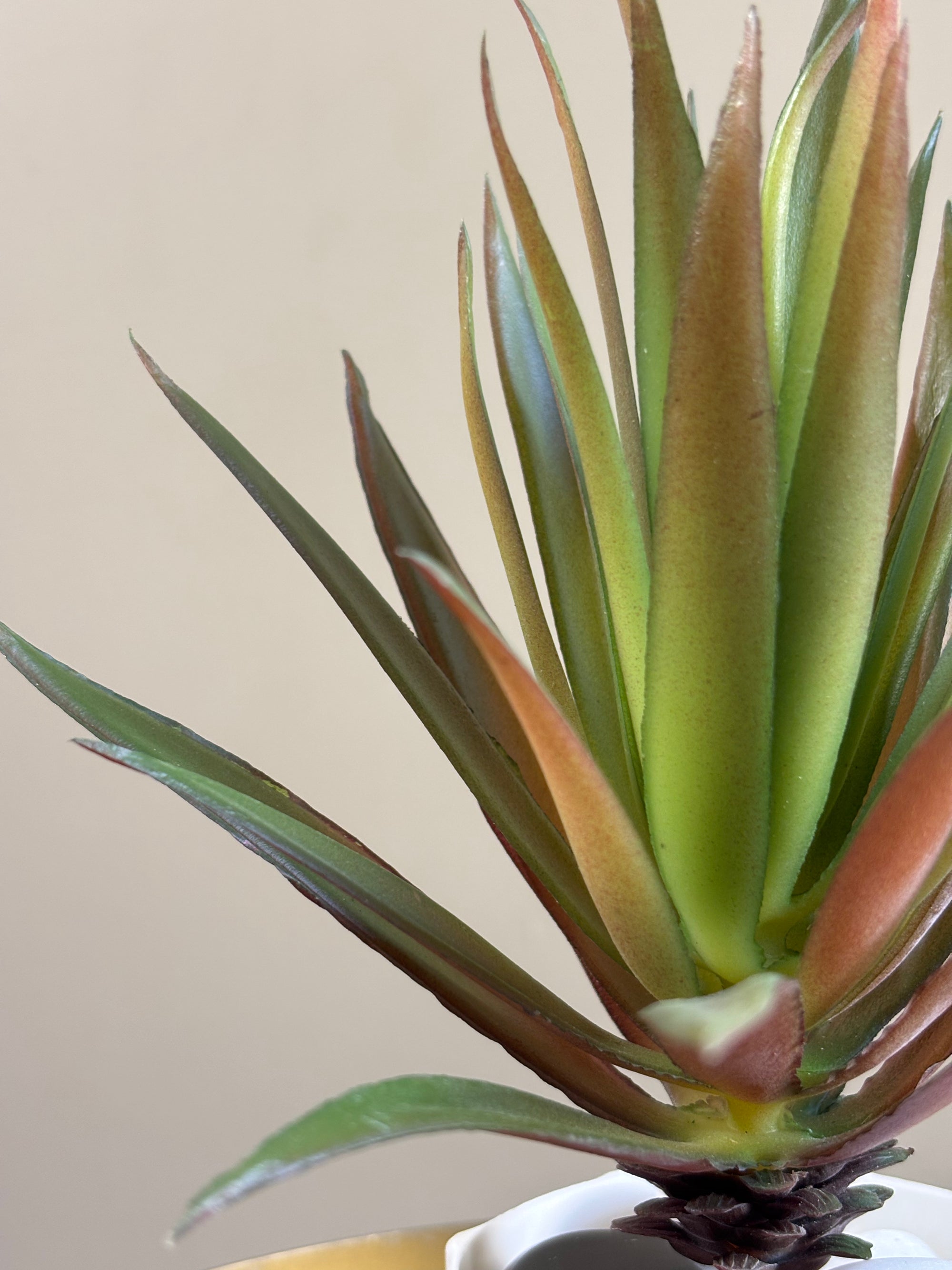 Artificial Pointed Succulent | 16 cm | Red Green Mix