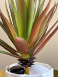 Artificial Pointed Succulent | 16 cm | Red Green Mix