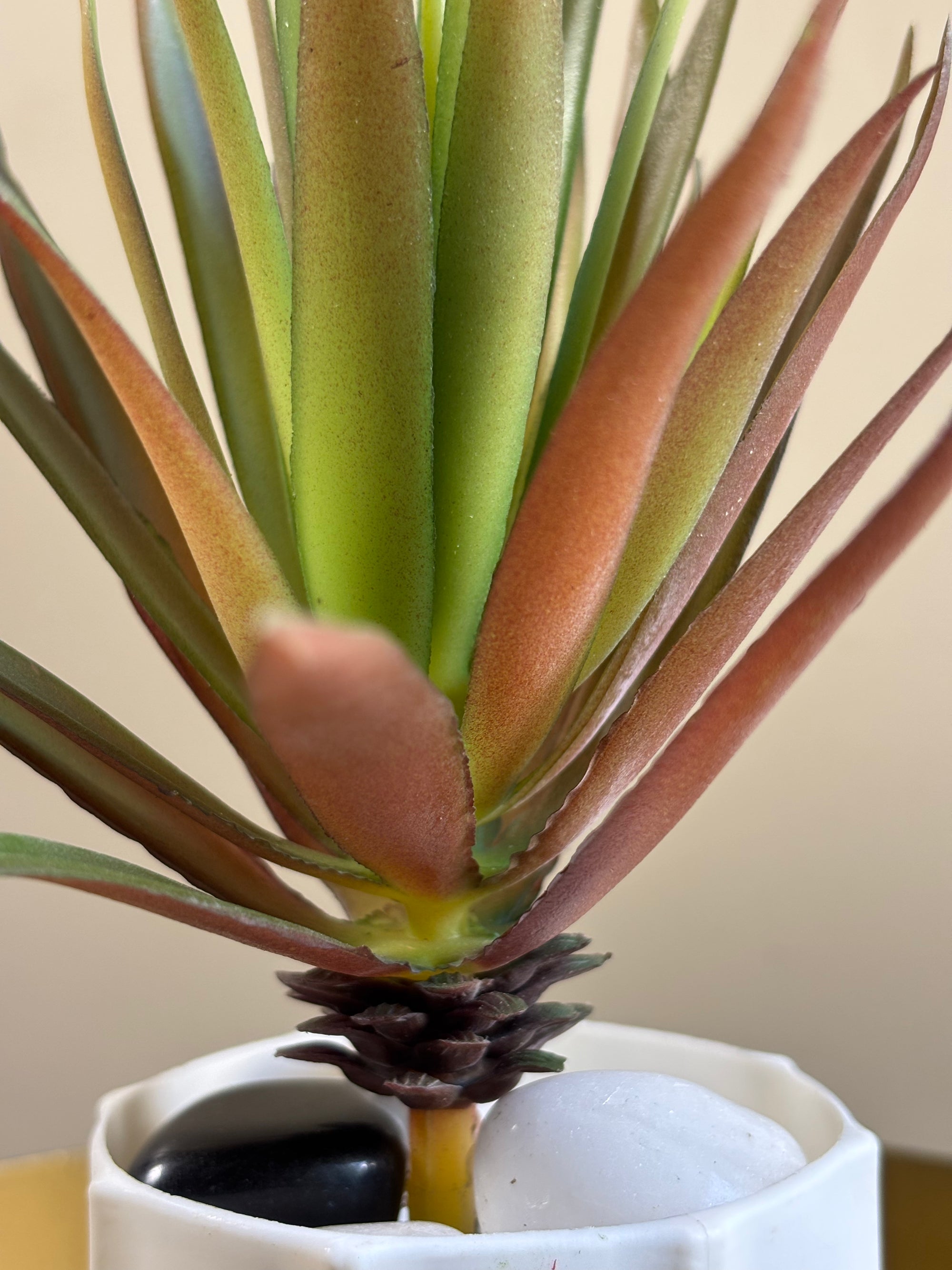 Artificial Pointed Succulent | 16 cm | Red Green Mix