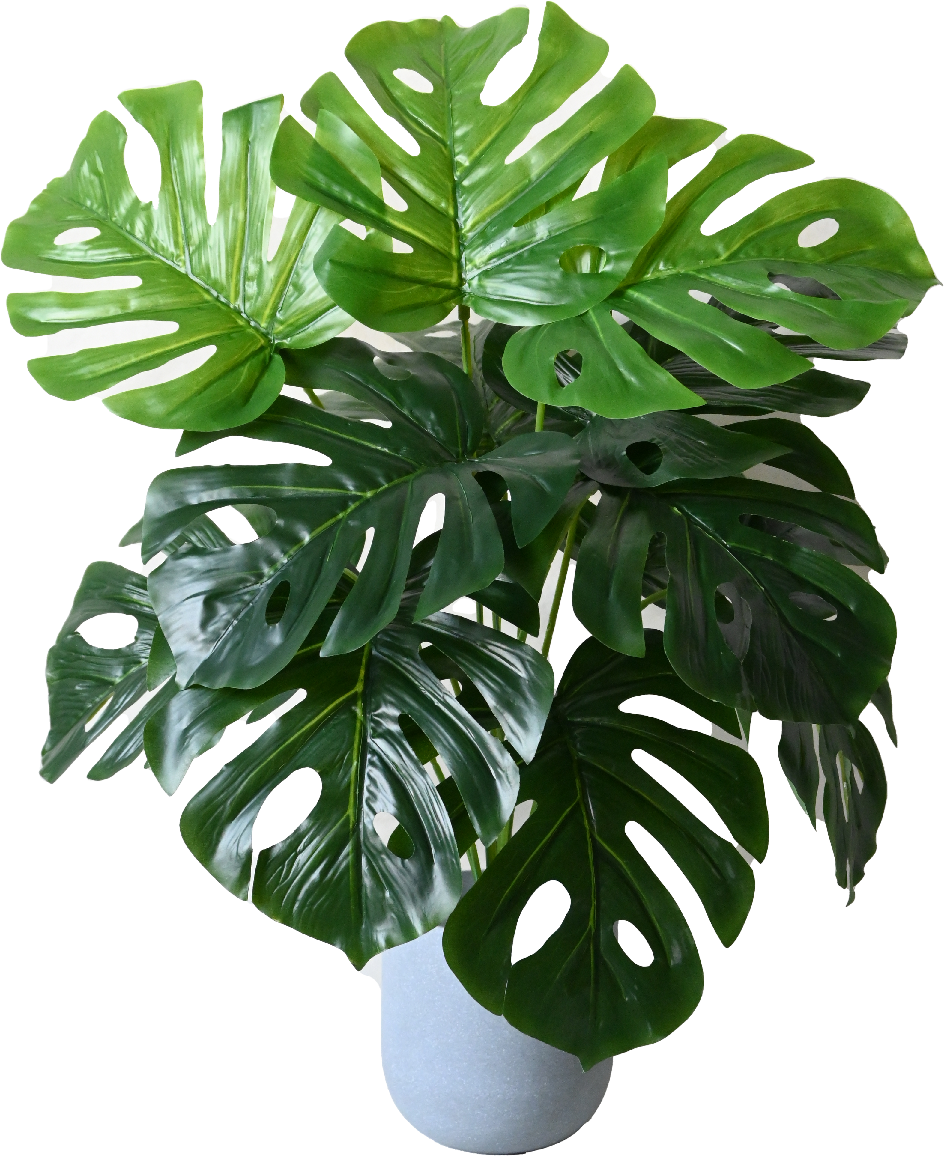 Artificial Monstera Plant for Decor | 12 Leaves with Basic Pot | 60.9 cm