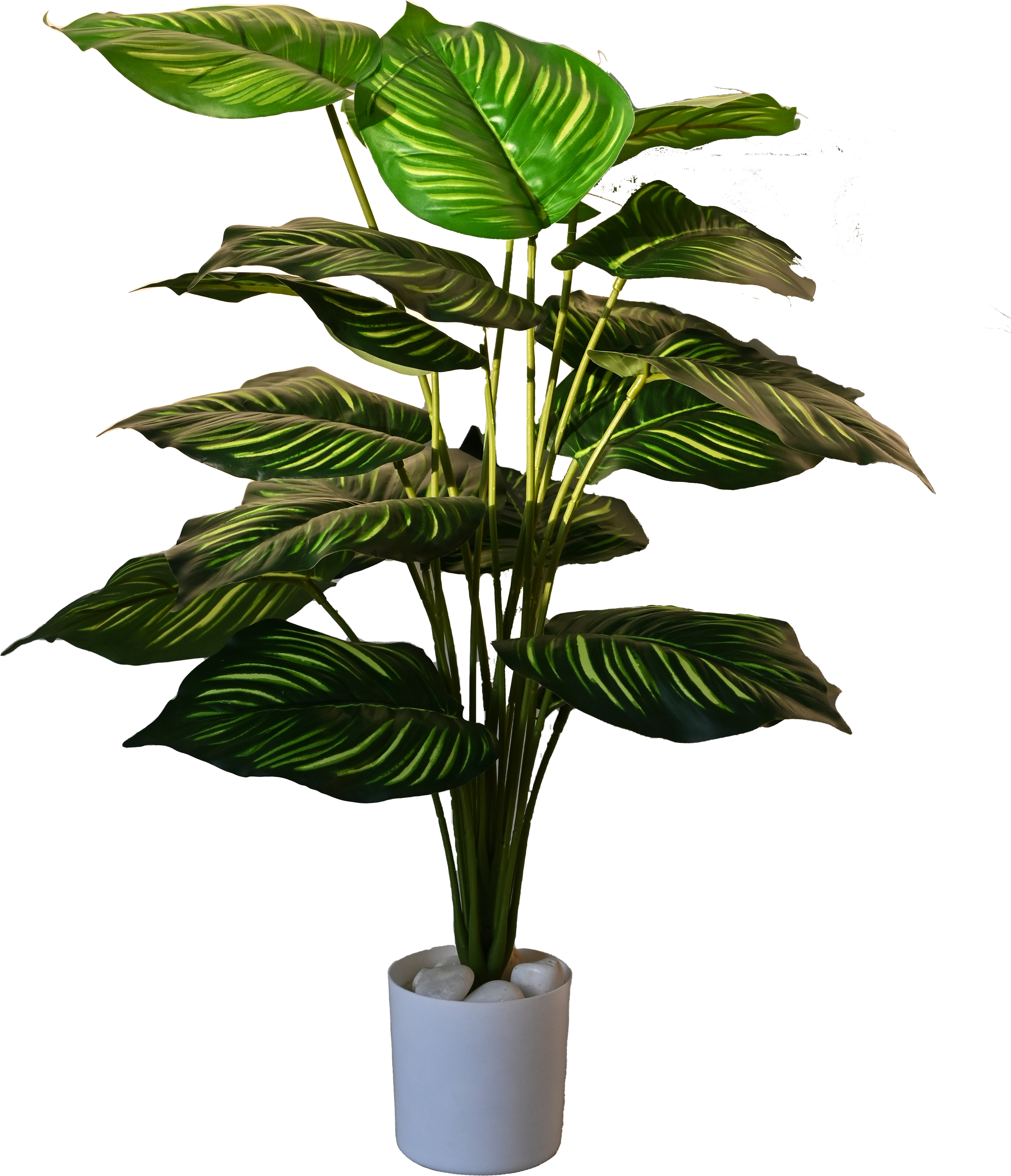 Artificial Calathea Orbifolia Plant for Decor 18 Leaves with Basic Pot | 63.5 cm