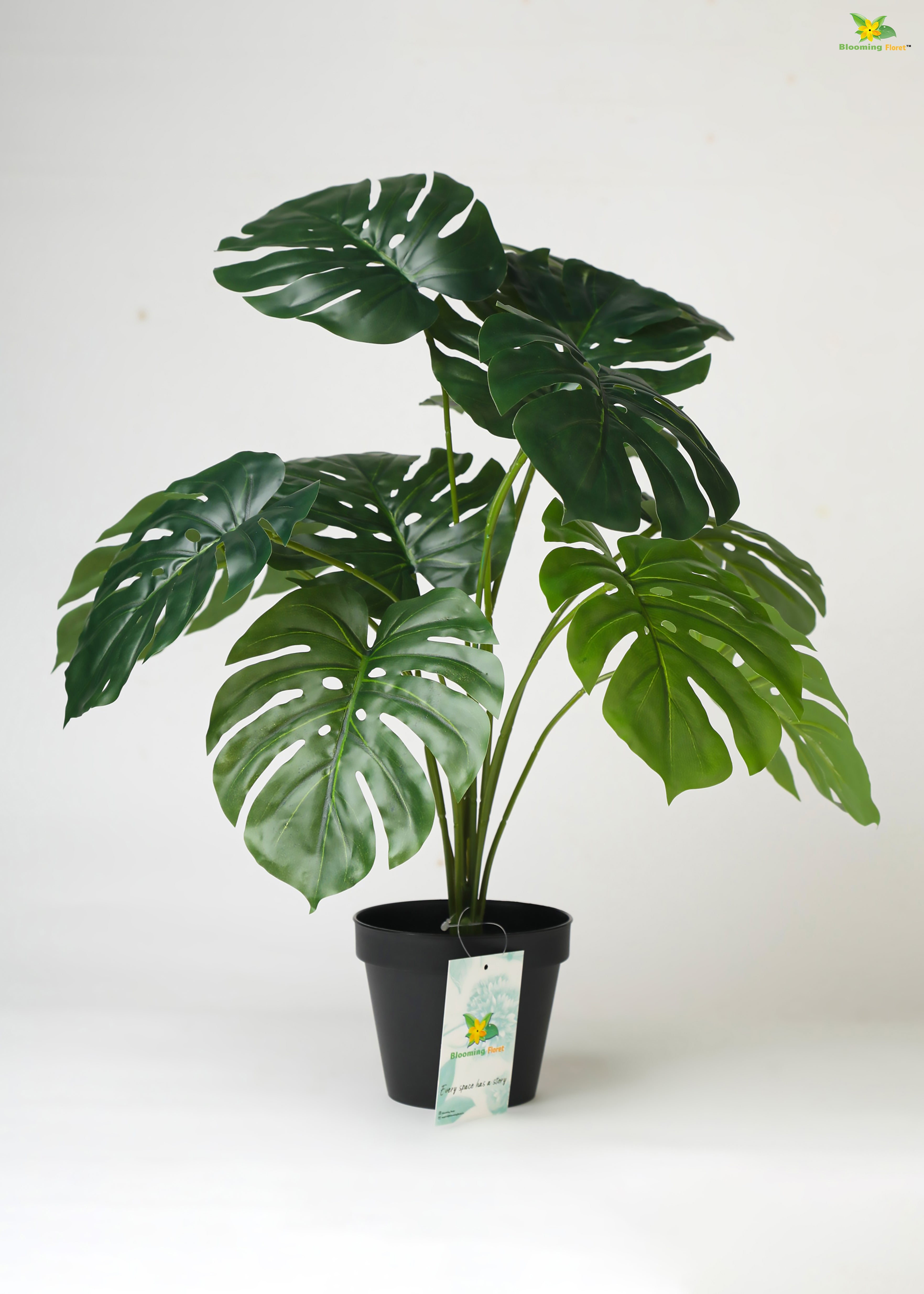 Artificial Monstera Plant For Decor-12 Green Leaves -50.8 cm-With Basic Pot