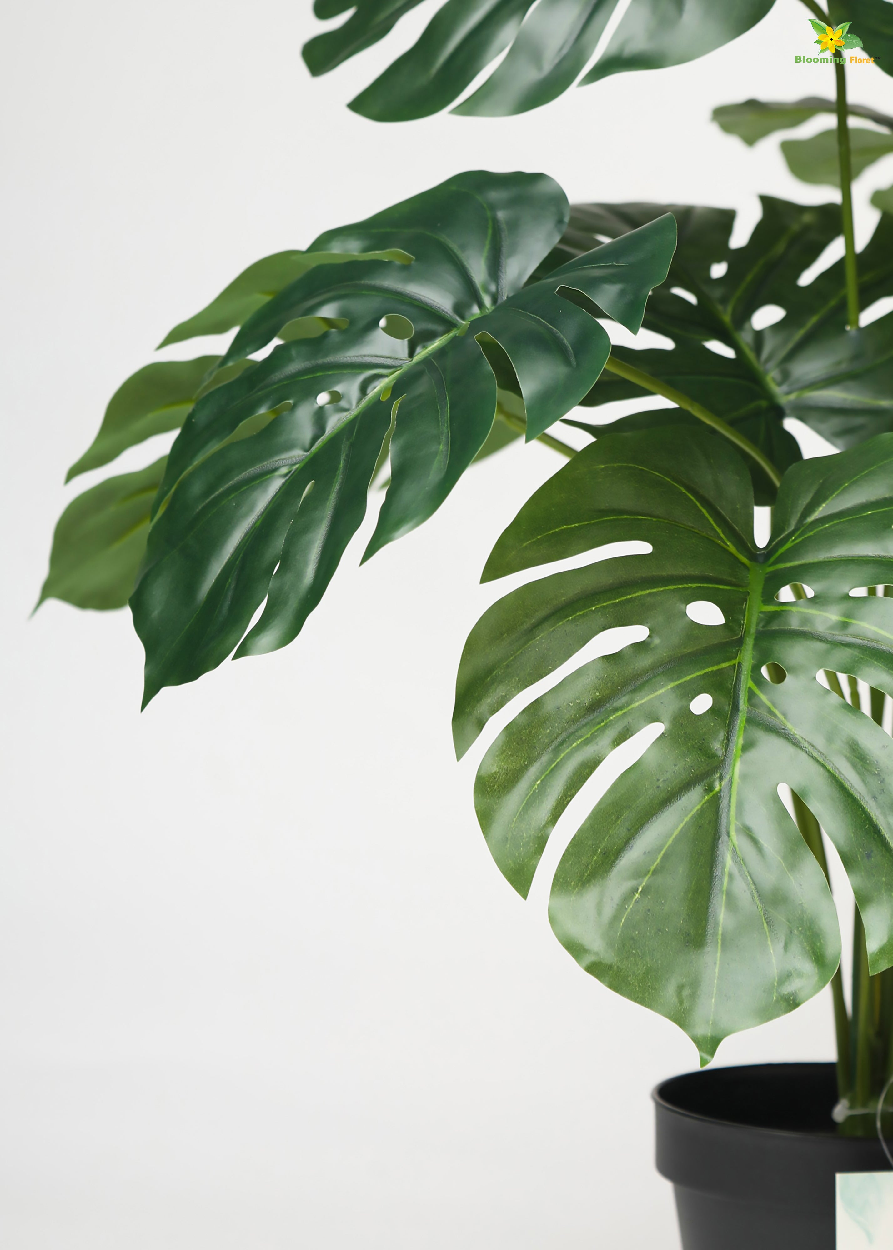 Artificial Monstera Plant For Decor-12 Green Leaves -50.8 cm-With Basic Pot