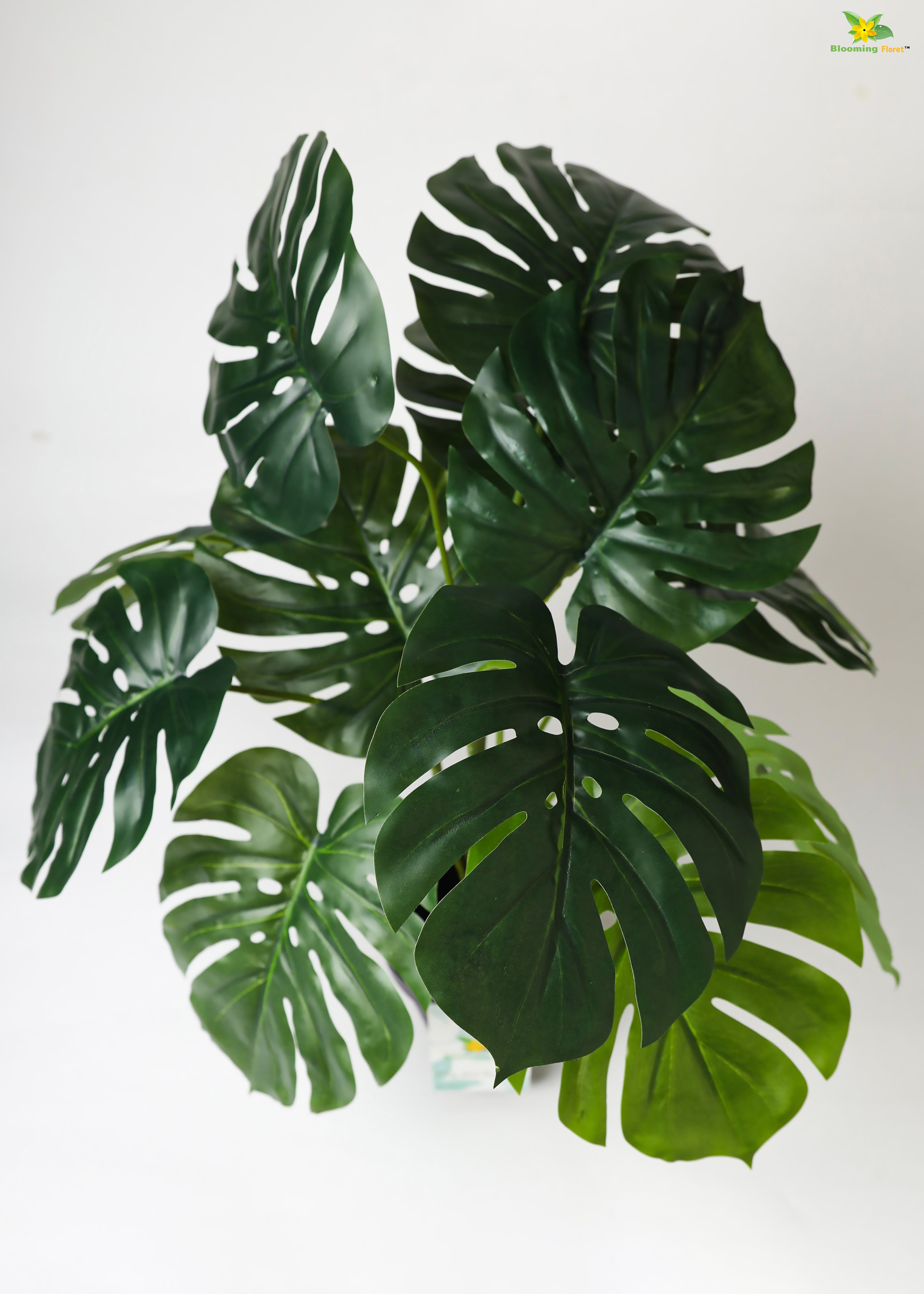 Artificial Monstera Plant For Decor-12 Green Leaves -50.8 cm-With Basic Pot