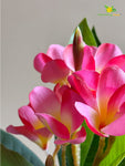 Artificial Frangipani Flower Stick – 62 cm, Pink