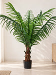 Artificial Areca Palm Plant | 170 cm | With Basic Black Pot