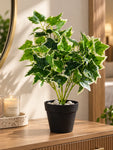 Ivory Elegance Artificial Bettina Ivy Plant | 45 cm | With Basic Pot