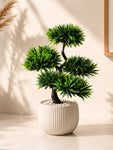 Bonsai Plant | 43 cm | With Black Pot