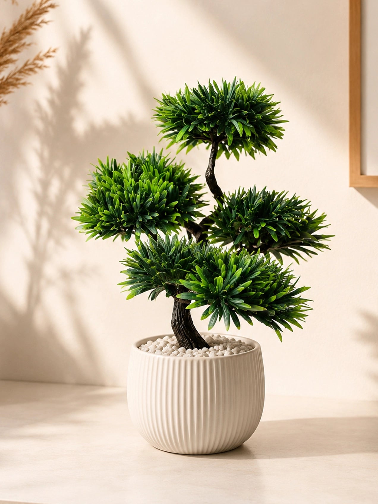 Bonsai Plant | 43 cm | With Black Pot