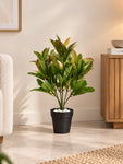 Artificial Croton Leaf Bunch Plant | 50 cm | 72 Leaves | With Basic Pot