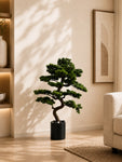 Premium Artificial Bonsai Plant | 88 cm | With Basic Pot