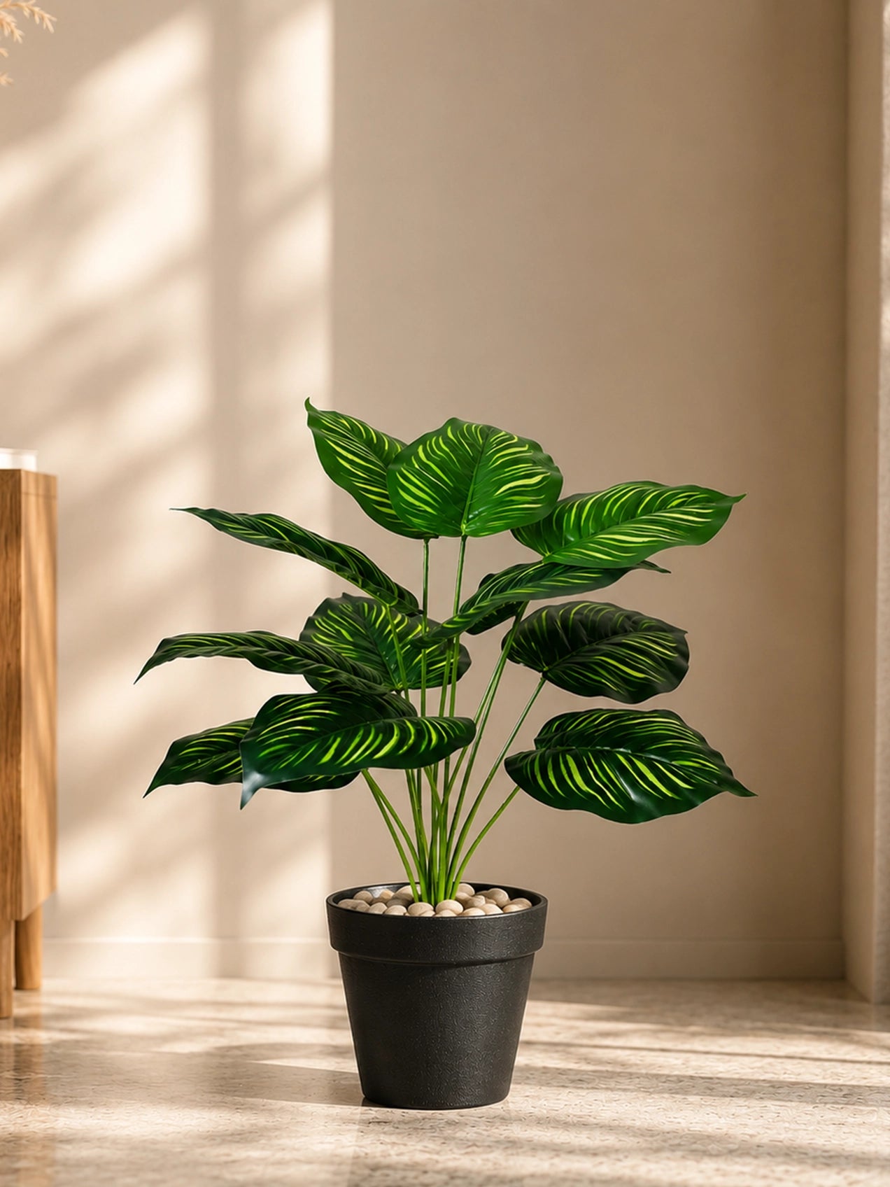 Artificial Calathea Orbifolia Plant | 50 cm | 12 Leaves | With Basic Pot