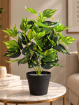 Artificial Golden Pothos Plant | 45 cm | With Basic Pot